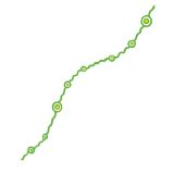 Green wavy line with spirals